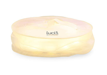 Luci LUX Bulk 6 pack